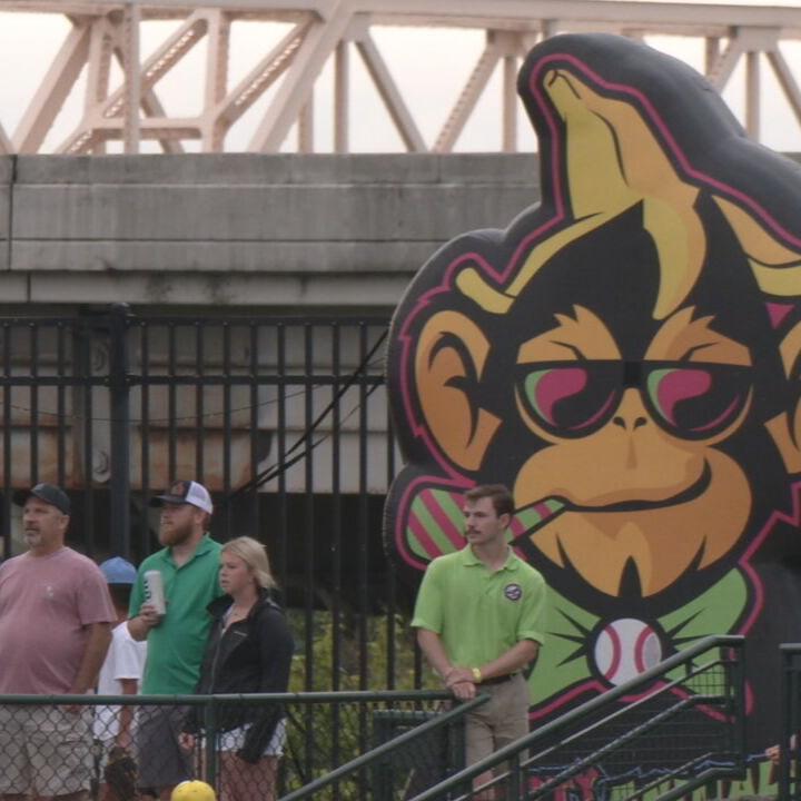 SAVANNAH BANANAS  (3).jpeg